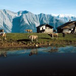 Zomer in Riederalp